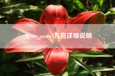 武穴九宫详细说明