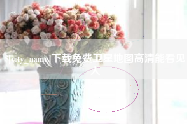 武穴下载免费卫星地图高清能看见人