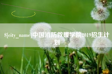 武穴中国消防救援学院2019招生计划