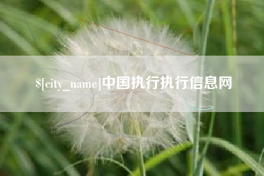武穴中国执行执行信息网