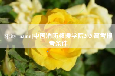 武穴中国消防救援学院2020高考报考条件