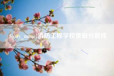 武穴消防工程学校录取分数线