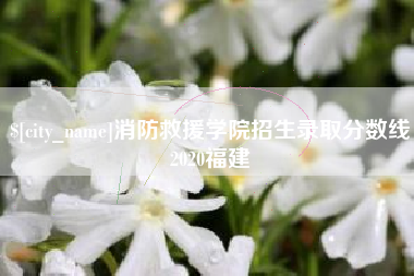 武穴消防救援学院招生录取分数线2020福建