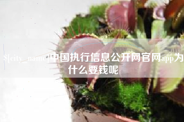 武穴中国执行信息公开网官网app为什么要钱呢