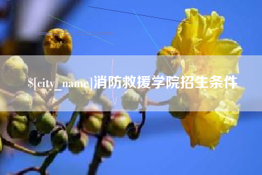 武穴消防救援学院招生条件
