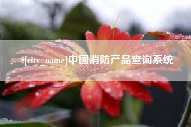 武穴中国消防产品查询系统