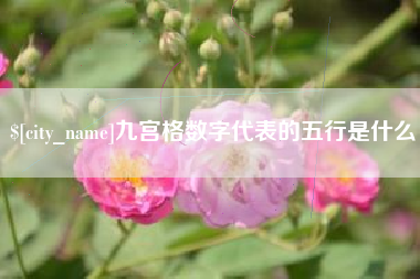 武穴九宫格数字代表的五行是什么