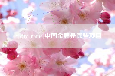 武穴中国金牌是哪些项目