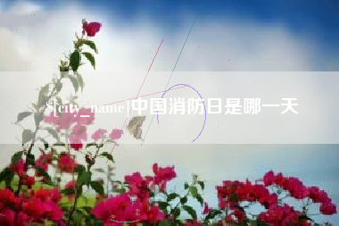 武穴中国消防日是哪一天