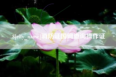 武穴消防证国网查询操作证