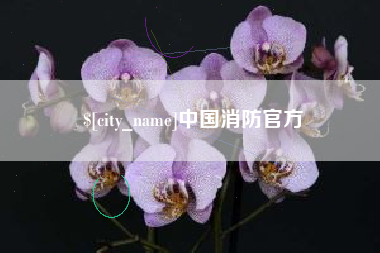 武穴中国消防官方