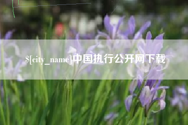 武穴中国执行公开网下载