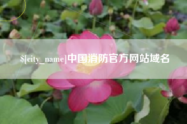 武穴中国消防官方网站域名