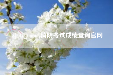武穴消防考试成绩查询官网
