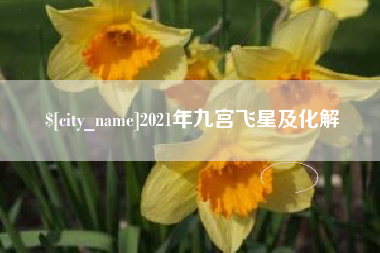 武穴2021年九宫飞星及化解