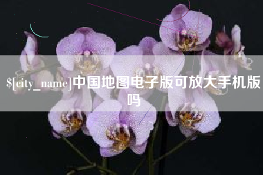 武穴中国地图电子版可放大手机版吗