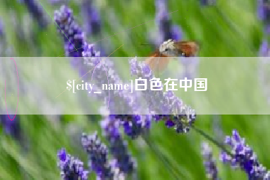 武穴白色在中国