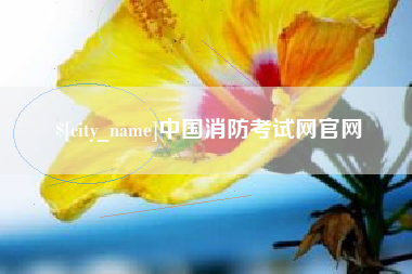 武穴中国消防考试网官网