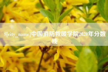武穴中国消防救援学院2020年分数线
