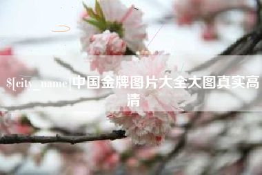 武穴中国金牌图片大全大图真实高清