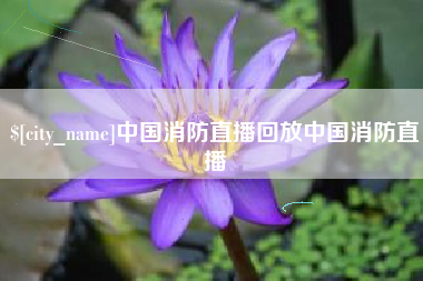 武穴中国消防直播回放中国消防直播