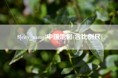 武穴中国地图(含比例尺)