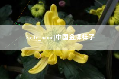 武穴中国金牌样子