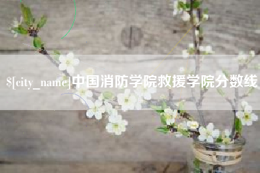 武穴中国消防学院救援学院分数线