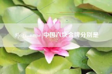 武穴中国六块金牌分别是