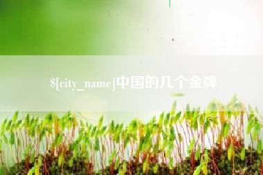 武穴中国的几个金牌