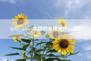 武穴中国的金牌是什么样的