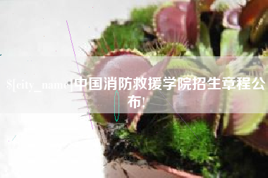 武穴中国消防救援学院招生章程公布!