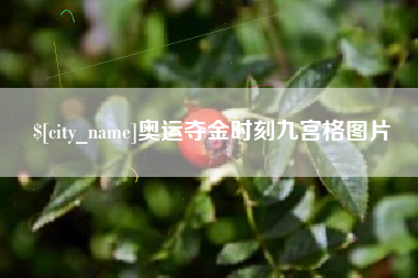 武穴奥运夺金时刻九宫格图片