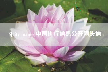 武穴中国执行信息公开网失信