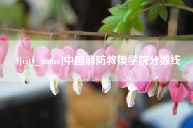 武穴中国消防救援学院分数线