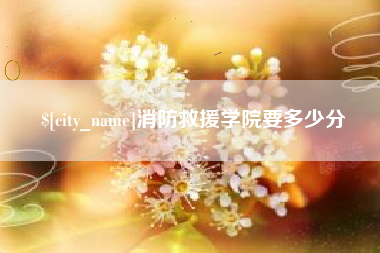 武穴消防救援学院要多少分