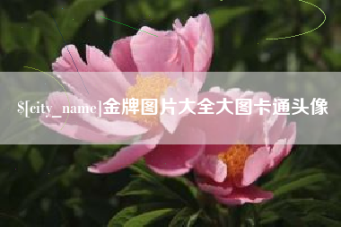 武穴金牌图片大全大图卡通头像