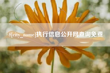 武穴执行信息公开网查询免费